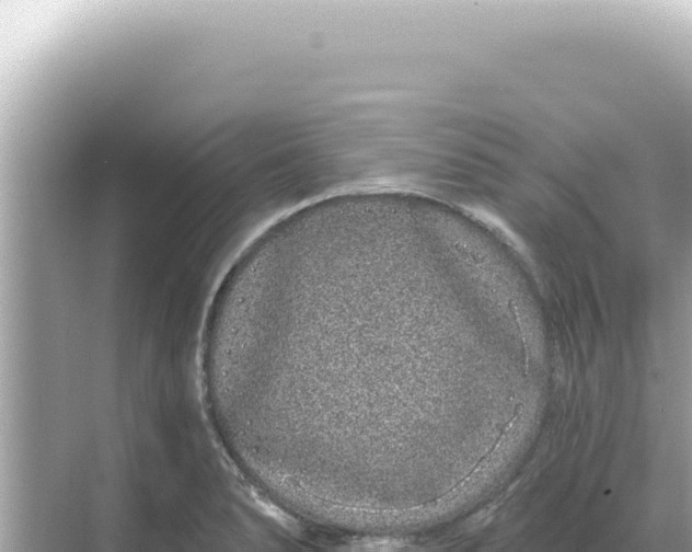 X0000068271278200605051805