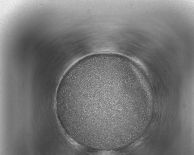 X0000068271279200605051805