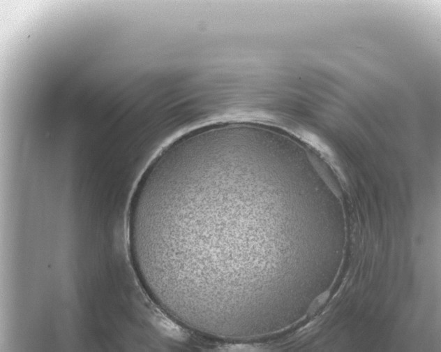 X0000068271280200605051805