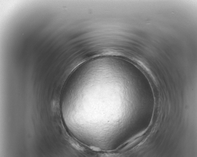 X0000068271281200605051805