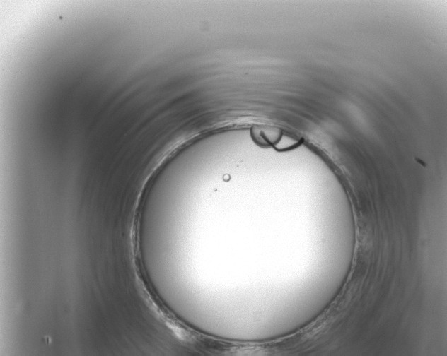 X0000068271282200605051805