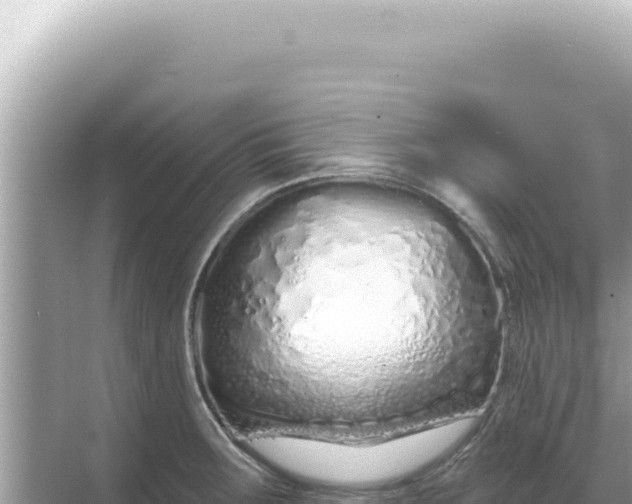 X0000068271283200605051805