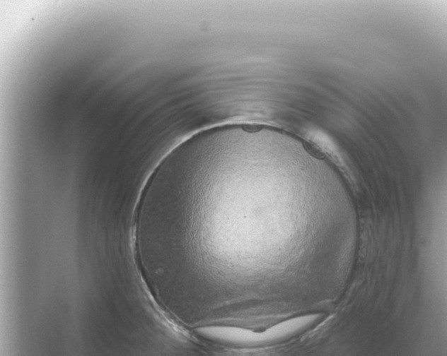 X0000068271284200605051805