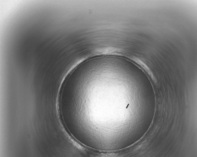 X0000068271285200605051805