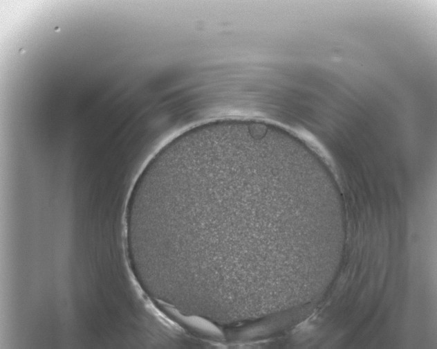 X0000068271287200605051805