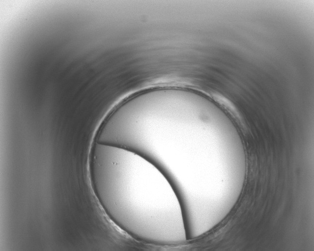 X0000068271288200605051805