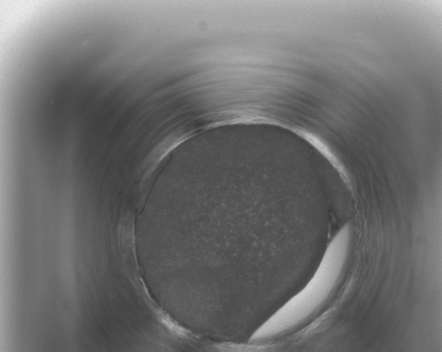 X0000068271289200605051805