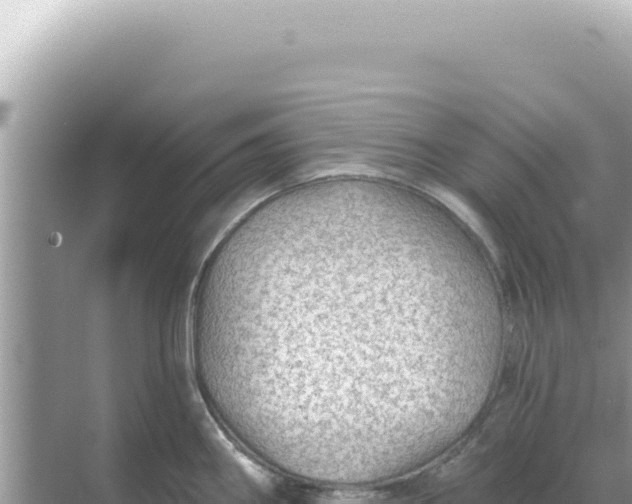 X0000068271290200605051805