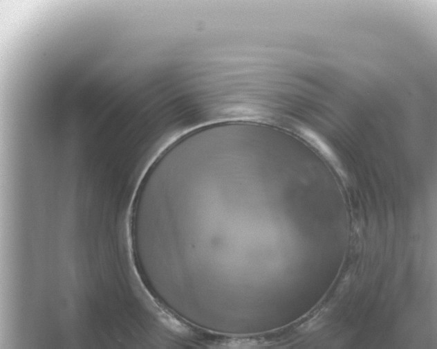 X0000068271291200605051805