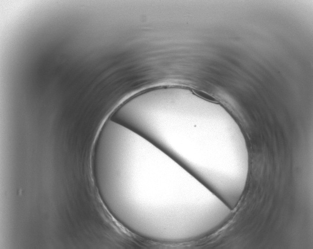 X0000068271292200605051805