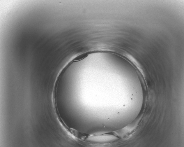 X0000068271293200605051805