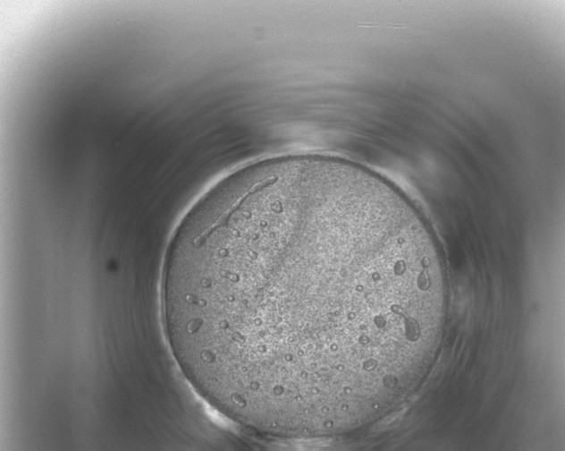 X0000068271294200605051805