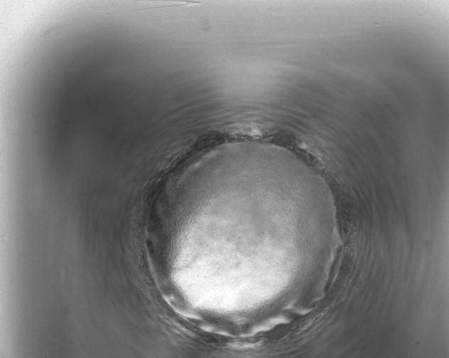 X0000068271297200605051804