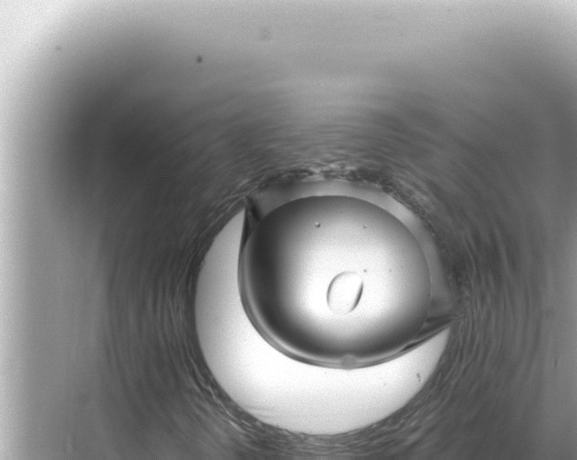 X0000068271298200605051804