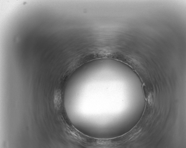 X0000068271299200605051804