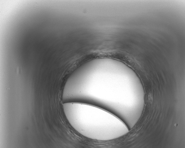 X0000068271300200605051804