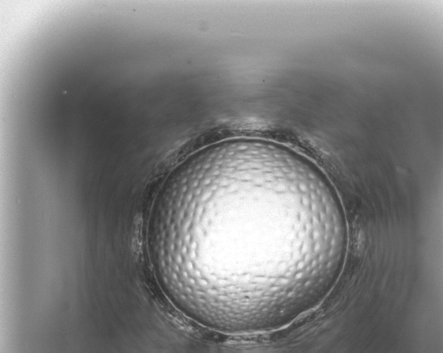 X0000068271301200605051804