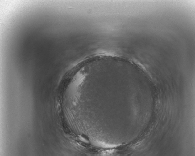 X0000068271303200605051804