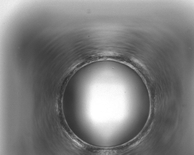 X0000068271305200605051804