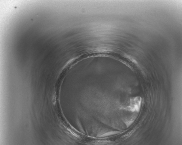 X0000068271306200605051804