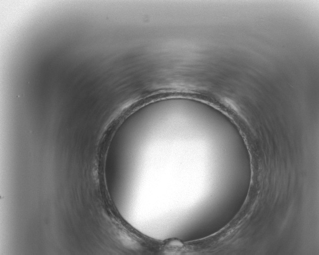 X0000068271307200605051804