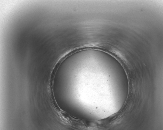 X0000068271308200605051804