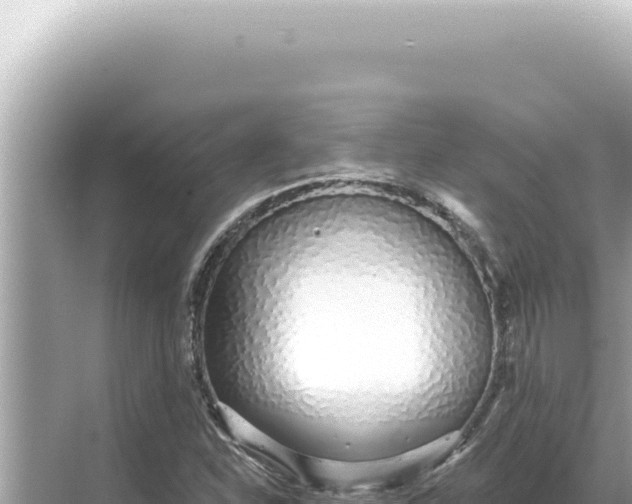 X0000068271310200605051804