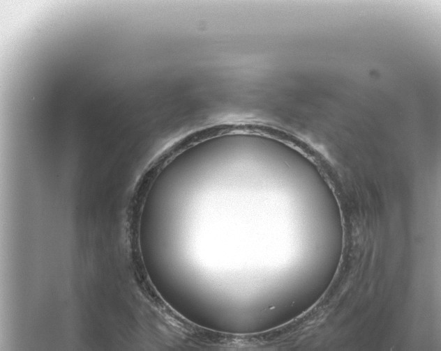 X0000068271311200605051804