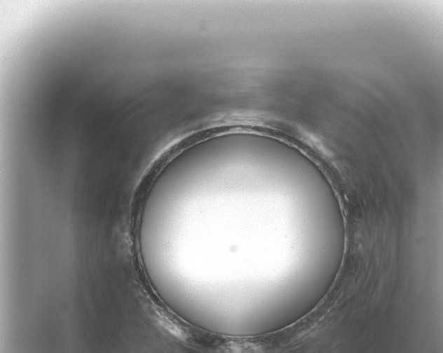 X0000068271312200605051805