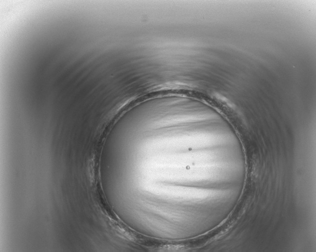 X0000068271313200605051805