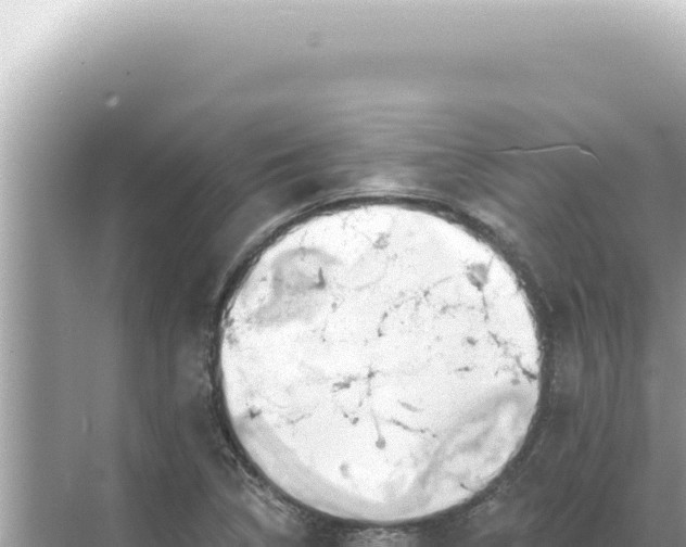 X0000068271314200605051805