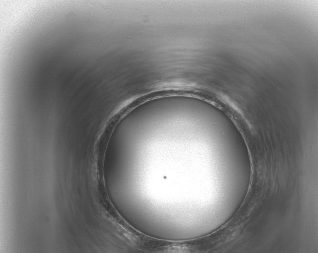 X0000068271315200605051805