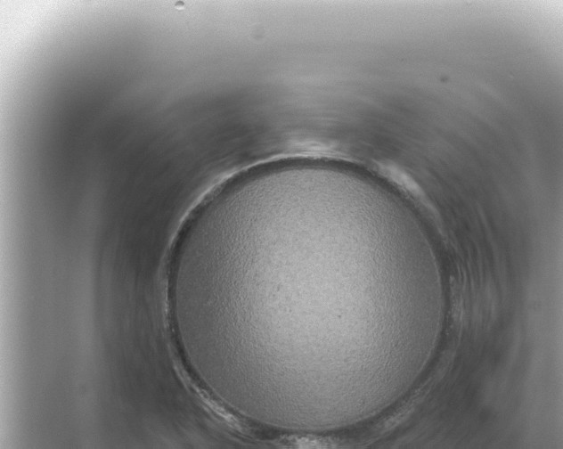 X0000068271318200605051805