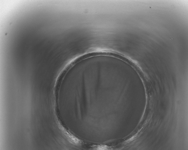 X0000068271319200605051805