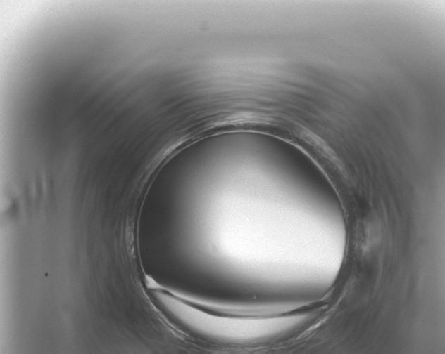 X0000068271321200605051805