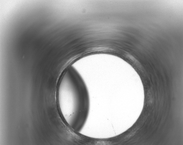 X0000068271322200605051805