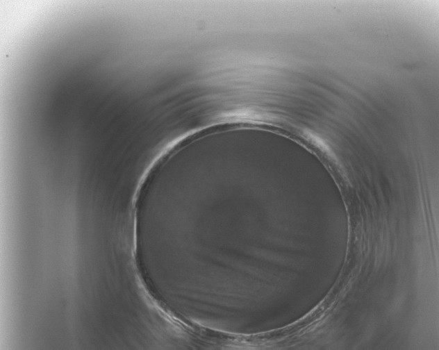 X0000068271323200605051805