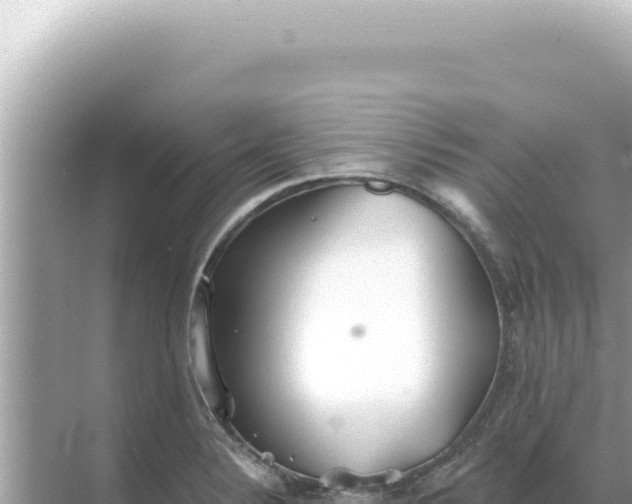 X0000068271324200605051805