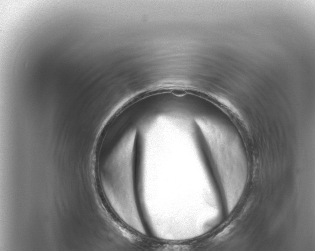 X0000068271325200605051805