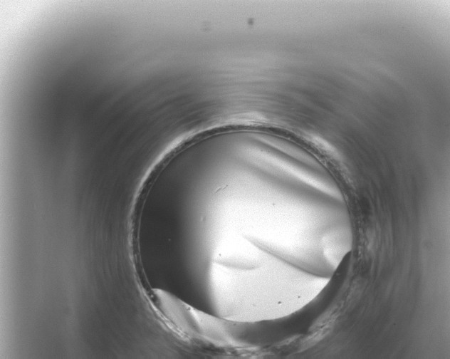 X0000068271326200605051805