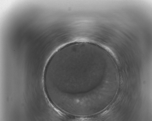 X0000068271327200605051805