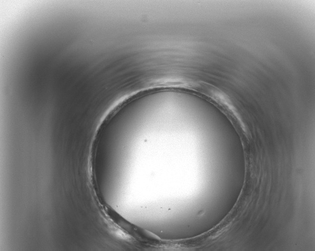 X0000068271328200605051805