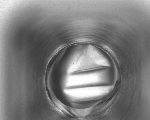 X0000068271330200605051805