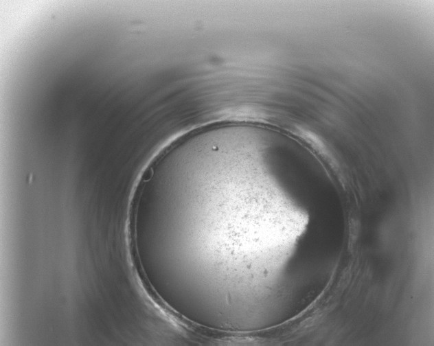 X0000068271331200605051805