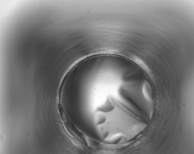 X0000068271332200605051805