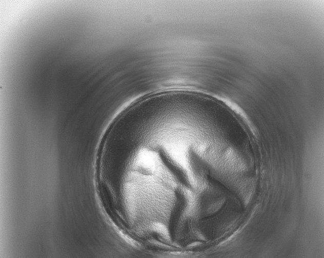 X0000068271333200605051805