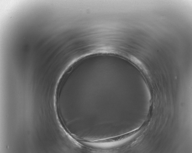 X0000068271334200605051805