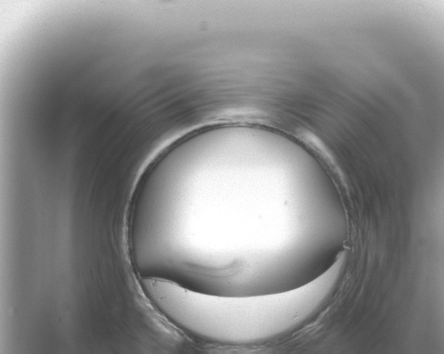 X0000068271336200605051805