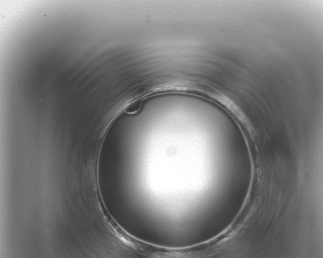 X0000068271337200605051805