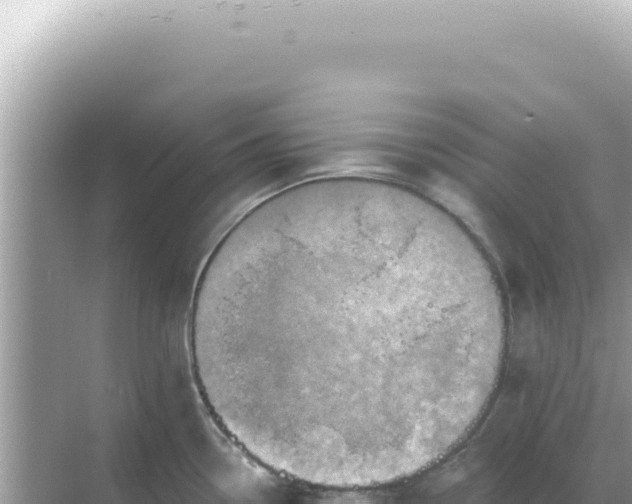 X0000068271338200605051805